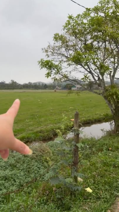 Đất nền Nam Điền, Thạch Hà 264m² - Đất thổ cư 100%