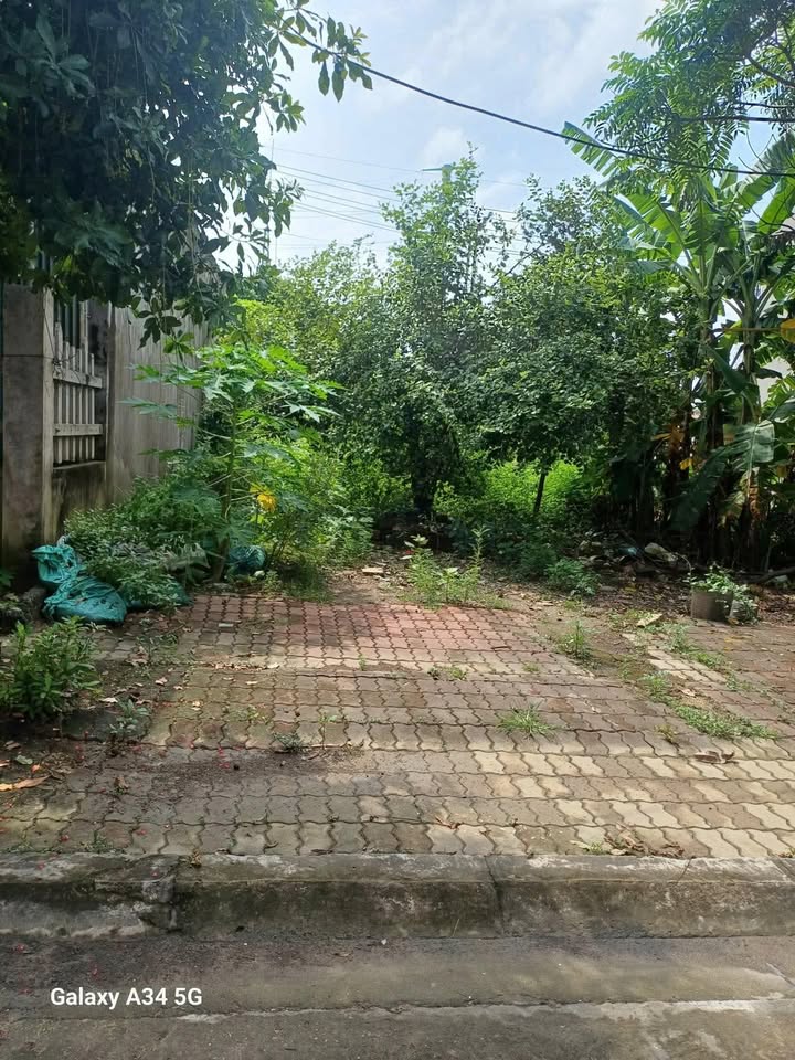 Đất nền 80m² khu đô thị Tân Nhất, Nho Quan - Sổ đỏ sẵn sàng giao dịch