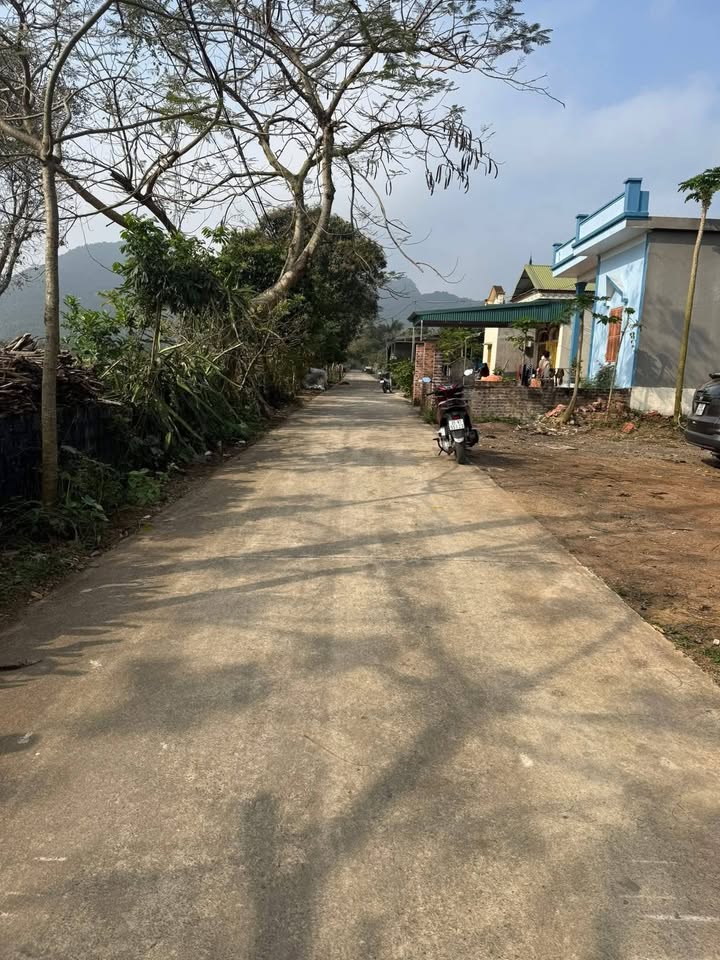 Đất Vườn Nghỉ Dưỡng 1500m² Gần Vườn Quốc Gia Cúc Phương - Đầu Tư Lý Tưởng