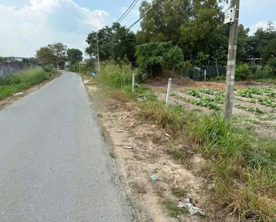 Đất Mặt Tiền Củ Chi 3200m² (2300m² Thổ Cư) - Quy Hoạch Khu Dân Cư