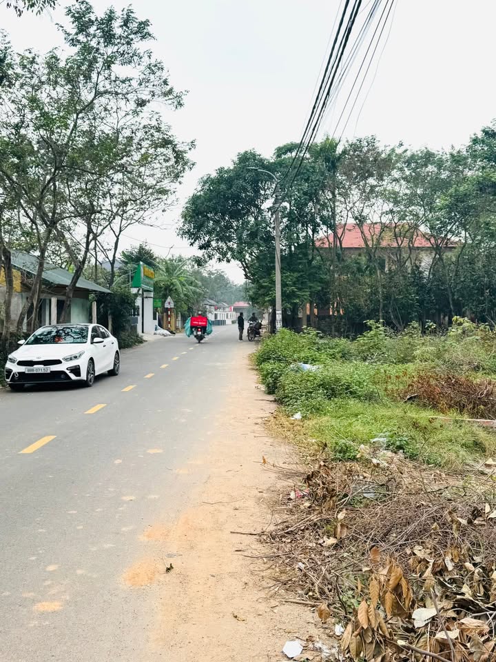 Đất nền Tam Đảo 83m² hơn 900 triệu - Đất thổ cư 100%