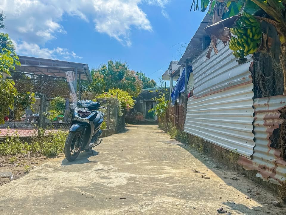 Đất Nền Cẩm Sa (115m²) - Ngay Cổng KCN, Giá 1.8 Tỷ, Thích Hợp Ở & Cho Thuê