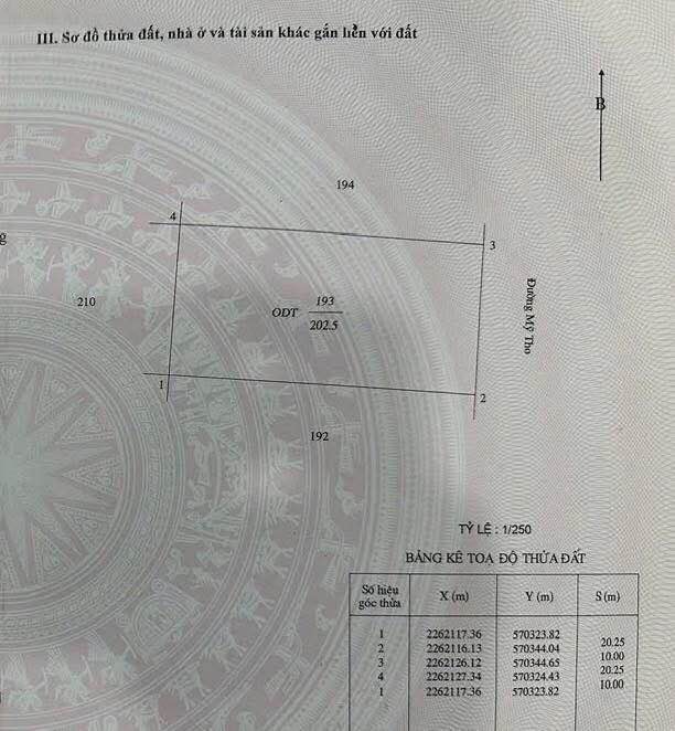 Đất nền Mỹ Tho Nam Định 202m² 12,1 tỷ - Đường to ô tô