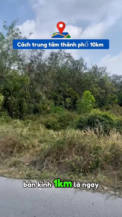 Đất nền Gò Dầu 1019m² - Sổ đỏ chính chủ, tiềm năng sinh lời!