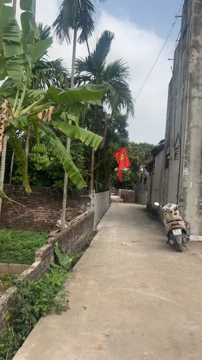 Đất Nền Hưng Yên - 95m² Thổ Cư, Sổ Đỏ Riêng, Giá Tốt Đầu Tư