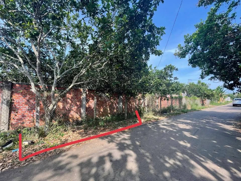 Đất Vườn Láng Lớn 1000m² Giá 1.68 Tỷ - Nghỉ Dưỡng Lý Tưởng!