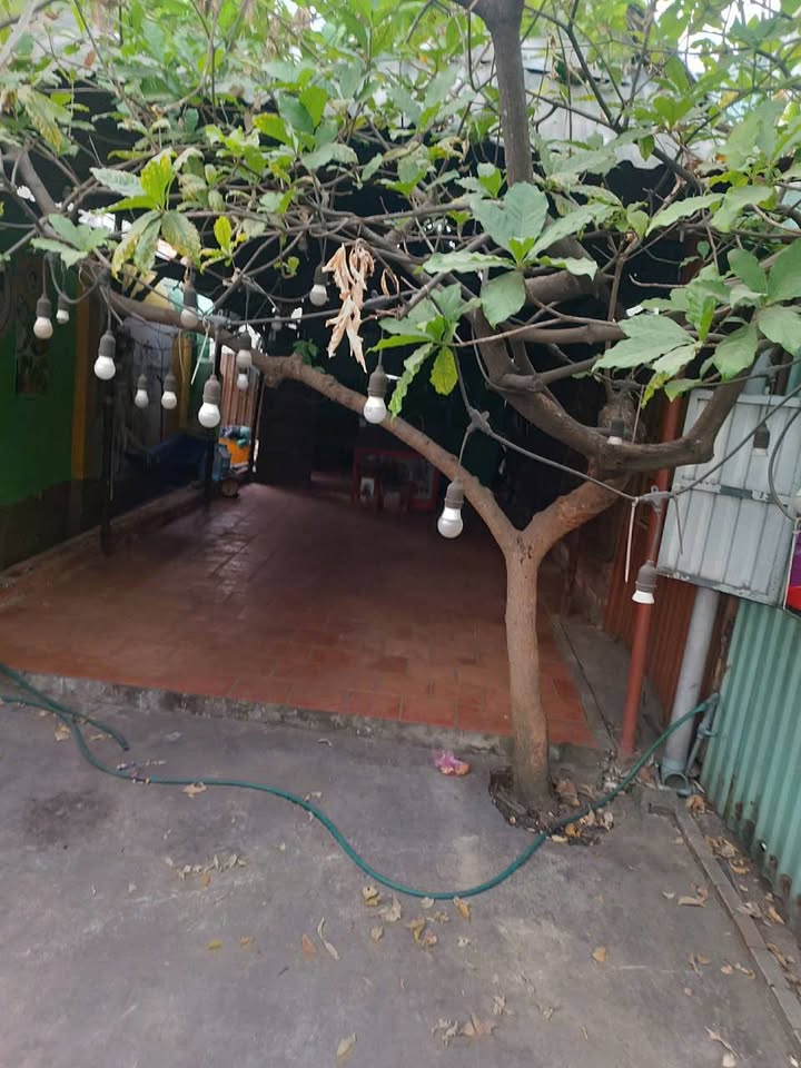 Cho thuê mặt bằng kinh doanh 80m² mặt tiền chợ Tân Phước Khánh - Giá 5 triệu/tháng