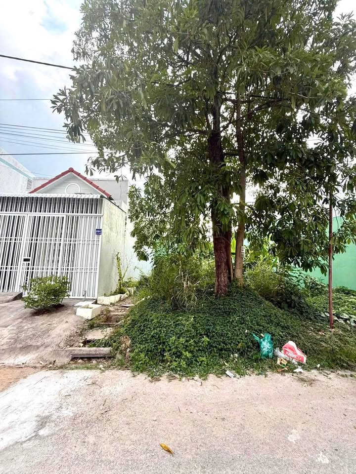 Đất Nền Rạch Giá 100m² Sổ Hồng - Lô Góc Lưu Hữu Phước