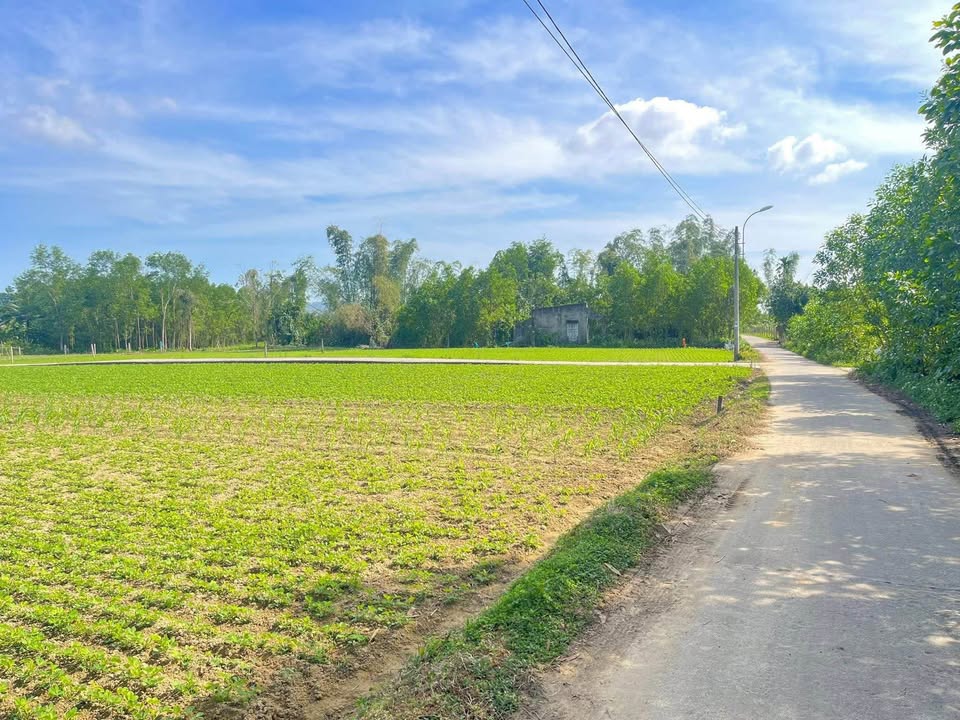 Đất Vườn Hòa Nhơn 700m² - Giá Đầu Tư 2 Tỷ - Sổ Viết Tay