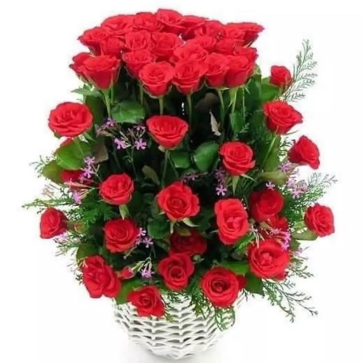 Đất nền Hòa Xuân 265m² - Sổ đỏ chính chủ, tiềm năng tăng giá!