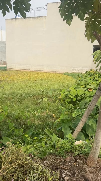 Đất Đấu Giá Yên Nam Duy Tiên 105m² - Sổ Đỏ Chính Chủ - Tiềm Năng Tăng Giá Cao!