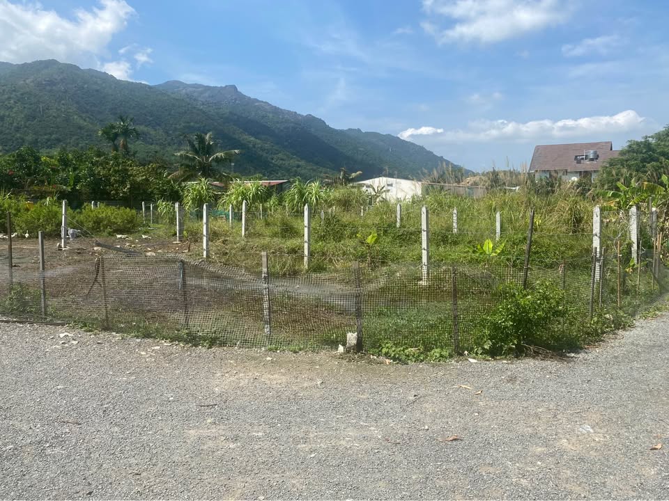 Đất nền Xã Phước Thượng 79m² giá 1.25 tỷ - Sổ đỏ chính chủ