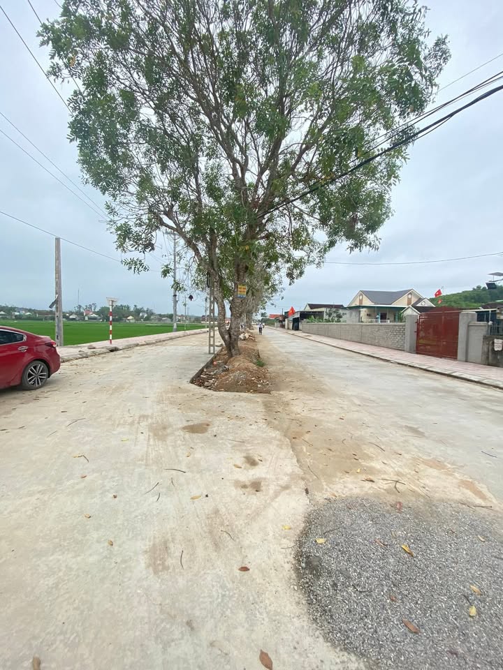 Đất nền mặt tiền đường đôi Phúc Thành, Yên Thành - 140m², dưới 2 tỷ, kinh doanh đỉnh