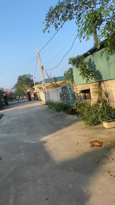 Bán đất 242m² Nghi Lộc - Gần QL48E, Sổ đỏ thổ cư, Giá 1 tỷ xx