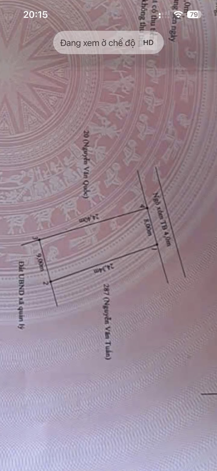 Đất nền Hùng Thắng Tiên Lãng 207m² - Sổ đỏ chính chủ đầu tư!