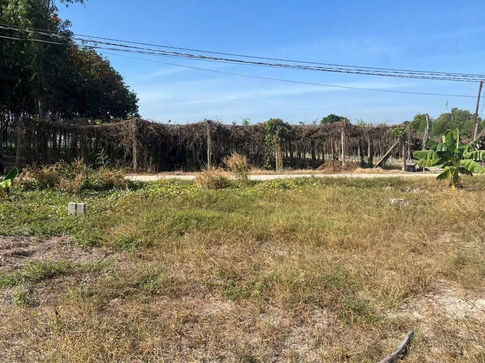 Bán Đất Thổ Cư 369m² Xã Thạnh Đông, Tân Châu, Tây Ninh - Giá Đầu Tư 465 Triệu