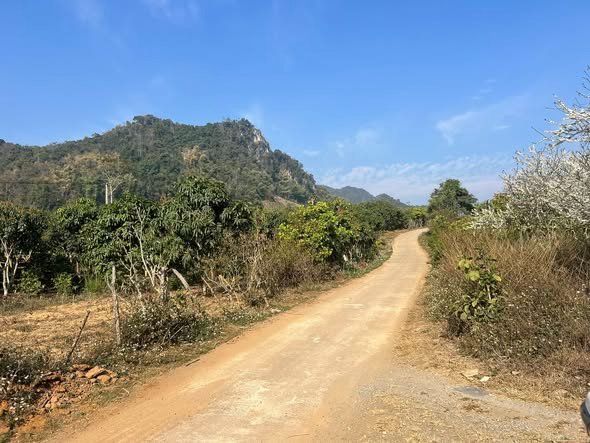 Đất Vườn 659m² Pát Chiềng - Bám Mặt Đường 30m - Chỉ 250 Triệu