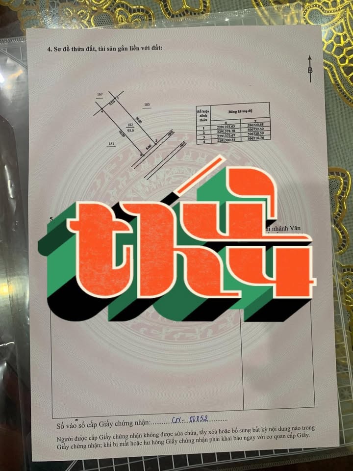 Đất Đấu Giá Phúc Tiến Mỹ Đức 95m² - Sẵn Sàng Đón Tài Lộc