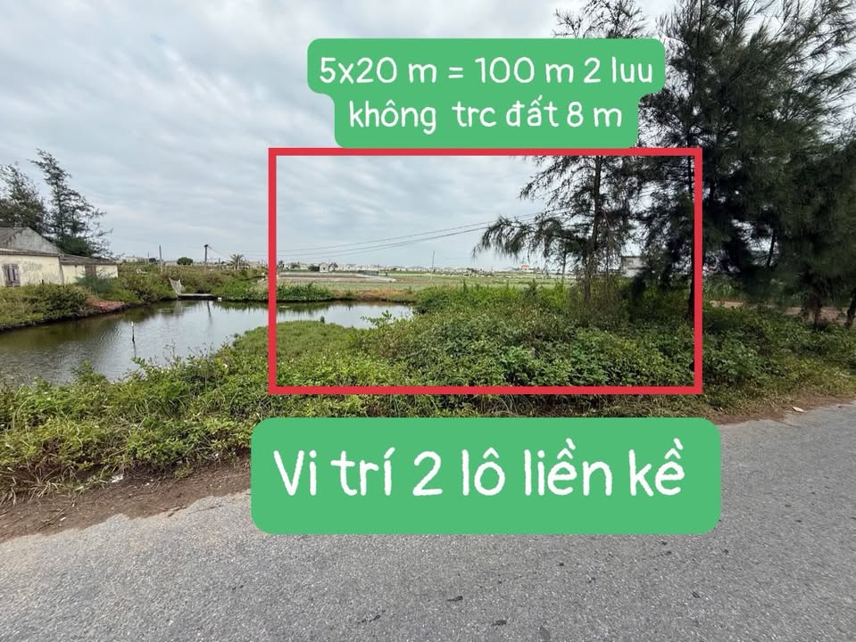 Đất Nền Phường Liên Phong Phan Thiết 100m² - Tiềm Năng Tăng Giá Vượt Trội!