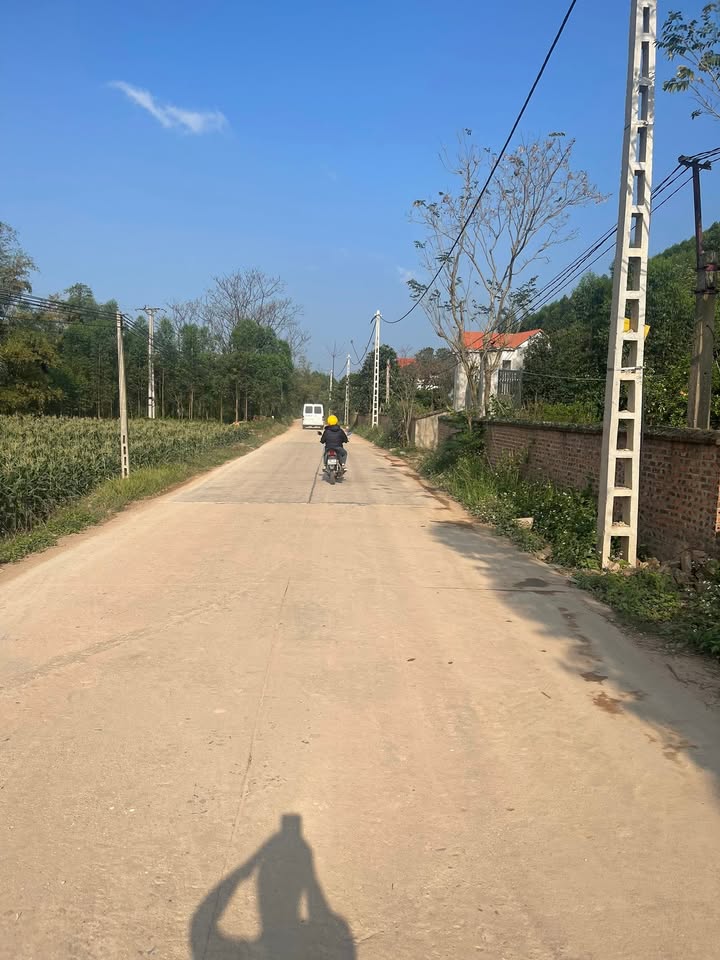 Đất Lục Nam 200m² - Cách KCN Yên Sơn 5 Phút - Sổ Đỏ Rõ Ràng