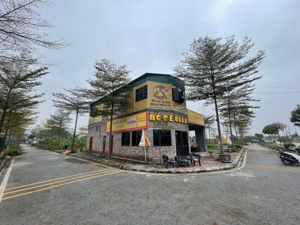 Đất phân lô Song Phượng 67m² giá 9.5 tỷ - Vị trí vàng kinh doanh