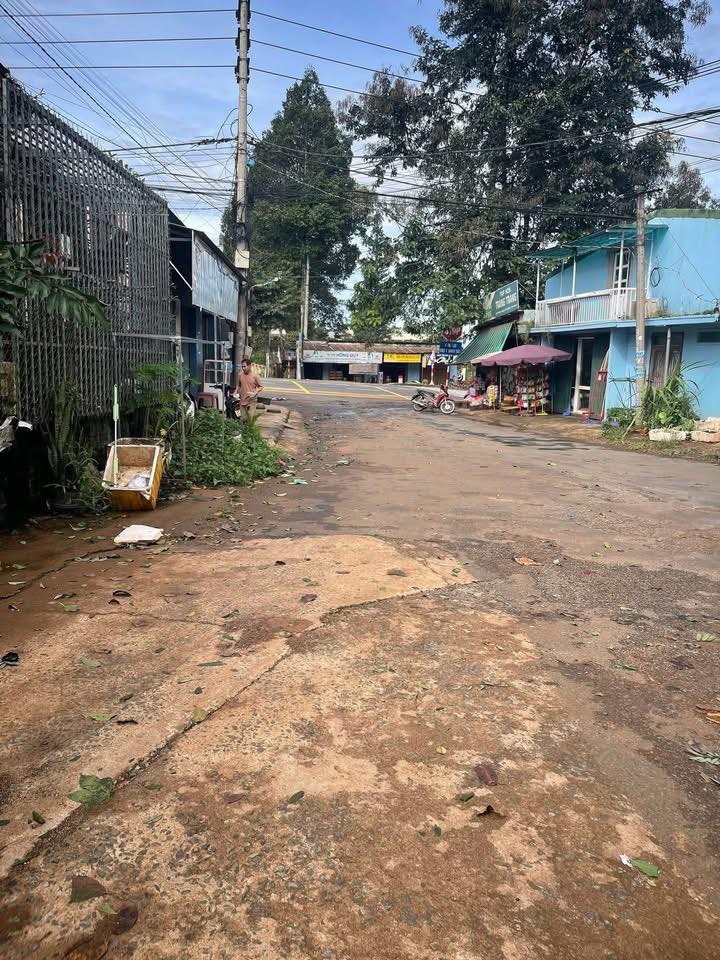 Đất Nền Trung Tâm Thuần Mẫn 240m² - Sổ Hồng Sẵn Sàng