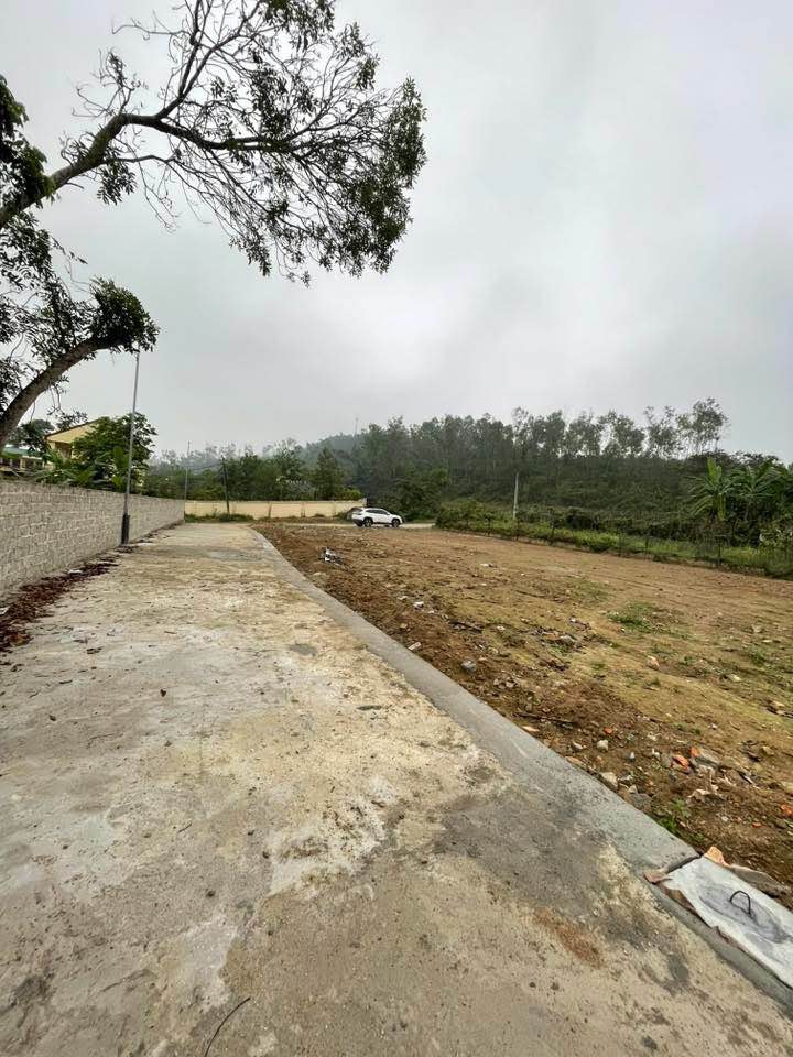 Đất nền Xuân Sơn Đô Lương 131m² - Chỉ còn 1 lô duy nhất!