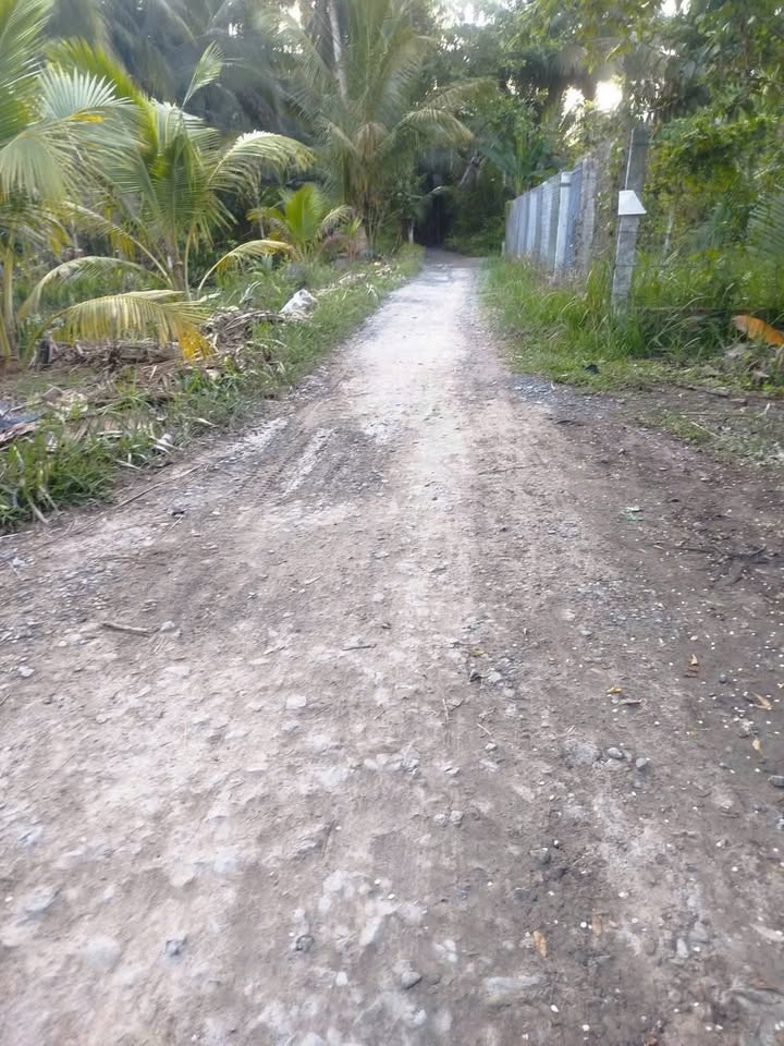 Đất nền Giồng Trôm 896.6m² - Sổ đỏ chính chủ!