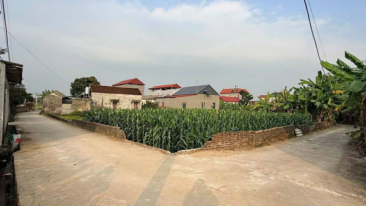 Đất nền Đồng Lạc, Yên Thế 104m² - Sổ đỏ chính chủ, giá chỉ từ 1.2 tỷ!