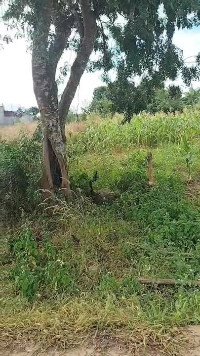 Đất thổ cư 270m² đường Quang Trung, Đắk Hà - Giá tốt đầu tư