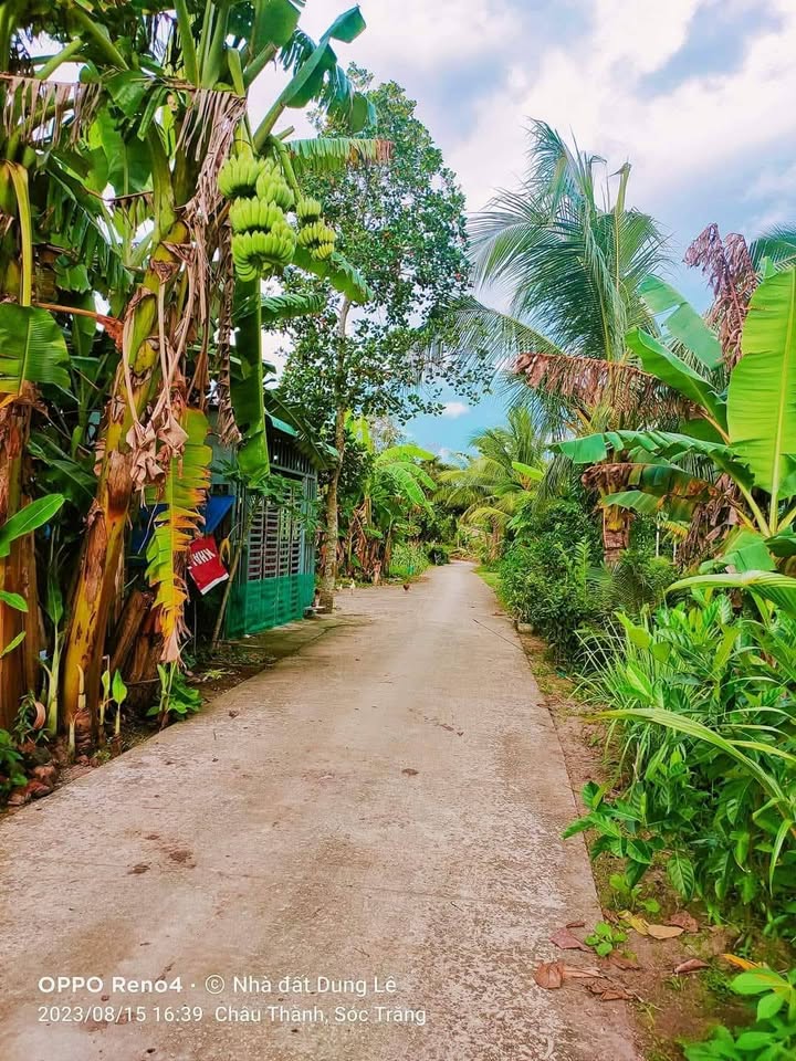 Đất nền Ấp Sa Bâu Sóc Trăng 972m² - Tiềm năng tăng giá vượt trội