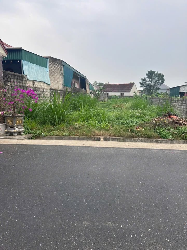 Đất nền Nghi Thịnh, Nghi Lộc 267m² chỉ 2 tỷ - Sổ đỏ chính chủ!