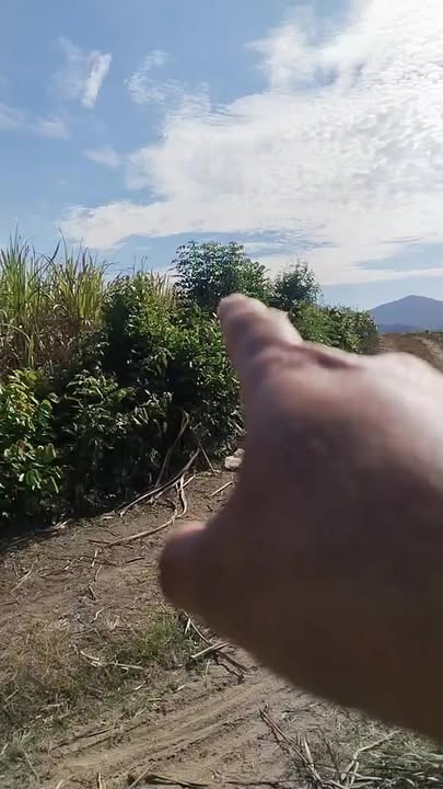 Đất Vườn Xã Sơn Hà, Sơn Hòa, Phú Yên 1.8ha – Tiềm Năng Đầu Tư Dài Hạn