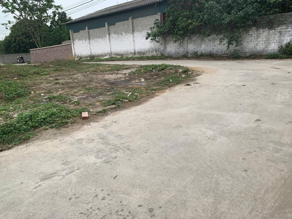 Đất nền Sóc Sơn 100m² - Sổ đỏ full thổ cư, ô tô vào tận nơi!