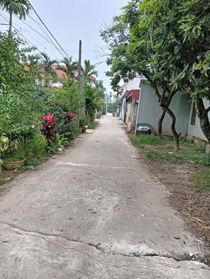 Đất nền 133m² Lý Nhân, Hà Nam - Sổ đỏ chính chủ, giá đầu tư tốt!