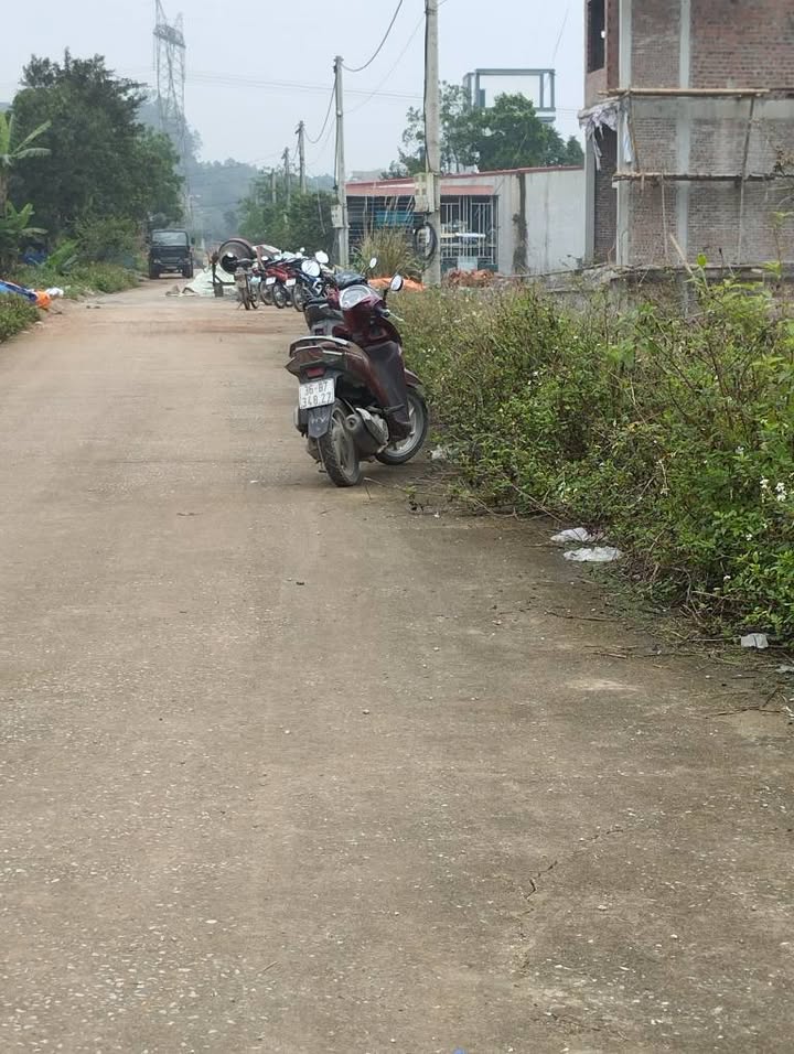 Bán Gấp 3 Lô Đất Vàng Triệu Sơn, Thanh Hóa - 100m²/lô, Giá Tốt