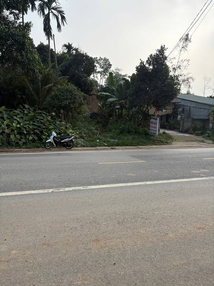 Đất Mặt Tiền QL2 150m² - Sổ Đỏ Sẵn Sàng - Đầu Tư Sinh Lời