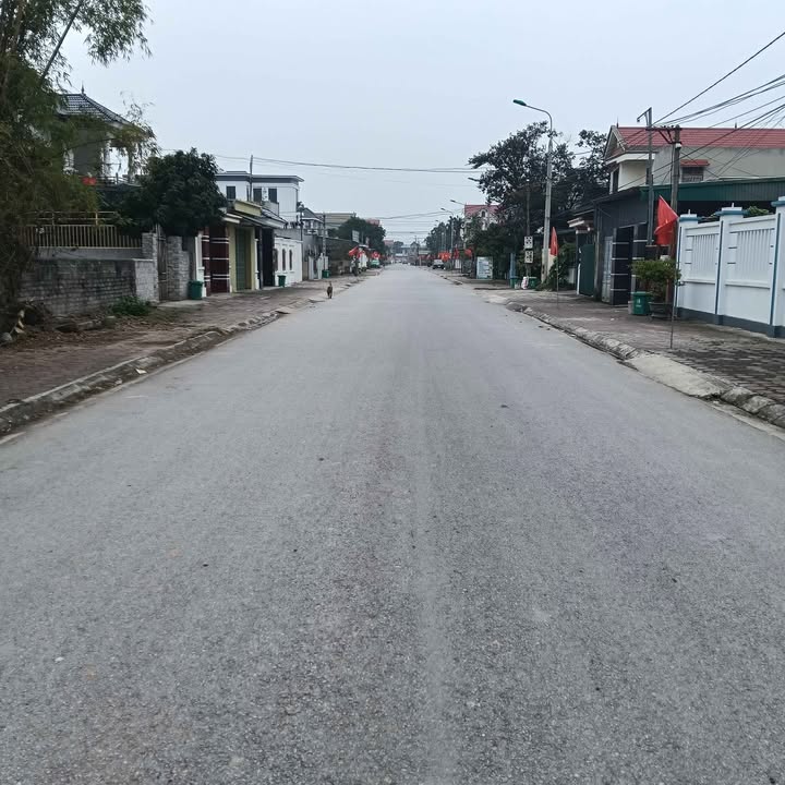 Bán Đất Nền Quảng Cát Sầm Sơn 242m² - Sổ Đỏ Sẵn Sàng Giao Dịch