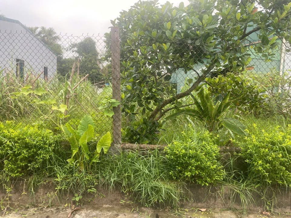 Đất nền Thôn Trung Hưng Hà Tĩnh 100m² 1.96 tỷ - Sổ đỏ chính chủ