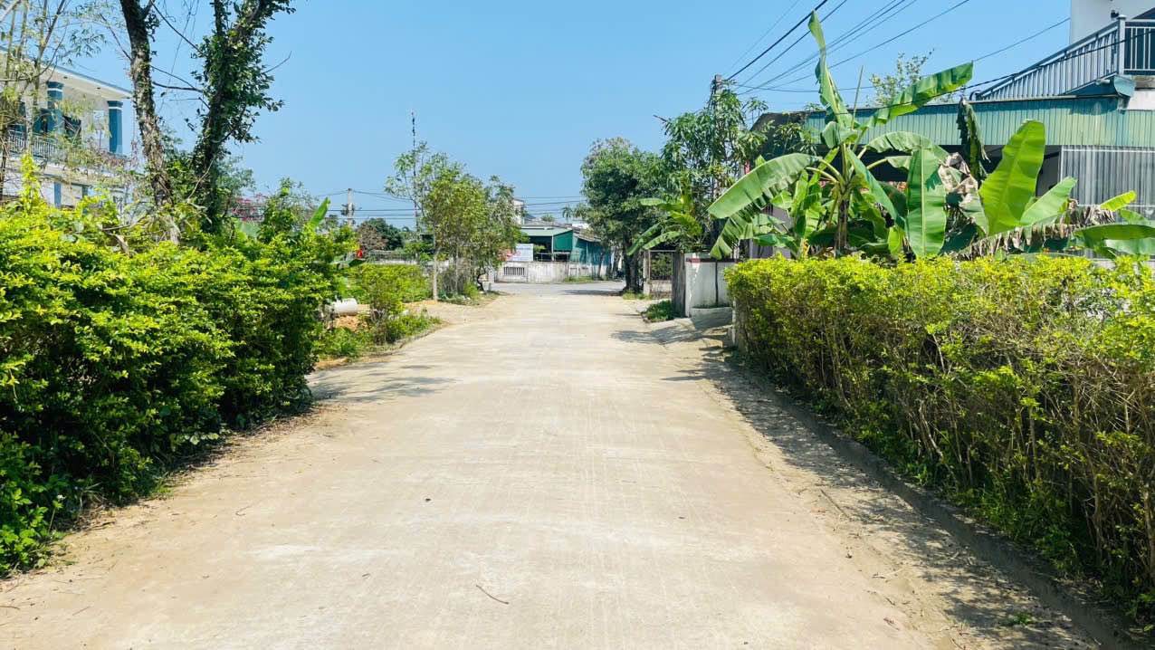 Đất nền TDP Liên Vinh Thạch Đài 146m² - Sổ đỏ chính chủ giá tốt