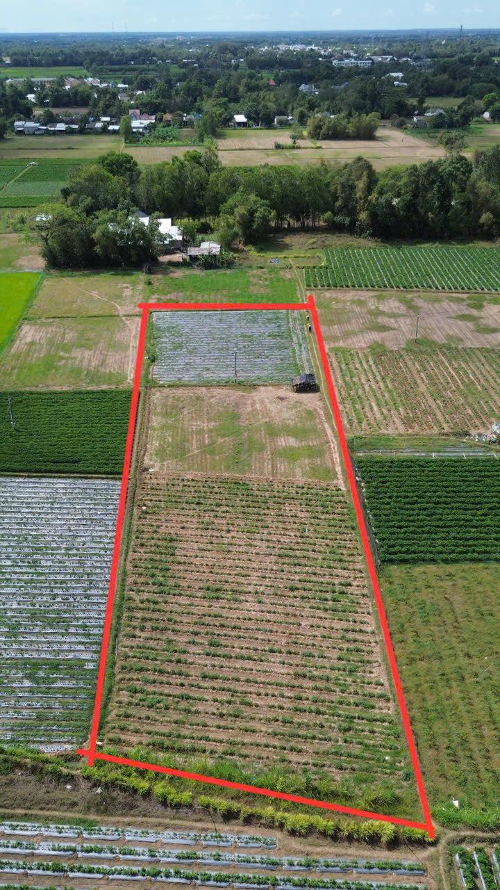 Bán 4000m² Đất Vườn Trà Vinh - Giá Tốt Đầu Tư