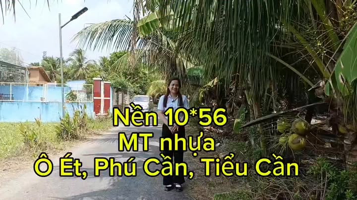 Đất Vàng Tiểu Cần 560m² - Sổ Hồng Riêng, Giá 520 Triệu