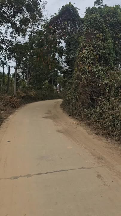 Đất Đắk Nông 140m² - Sổ Đỏ Sẵn Sàng, Giá Chỉ 390 Triệu