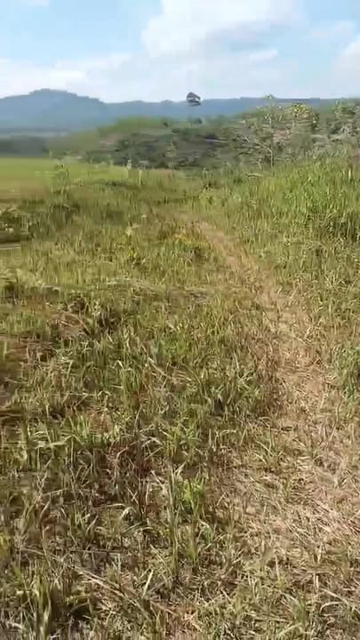 Đất nền Quảng Phú, Krông Nô 4ha giá 1.2 tỷ - Tiềm năng tăng giá!