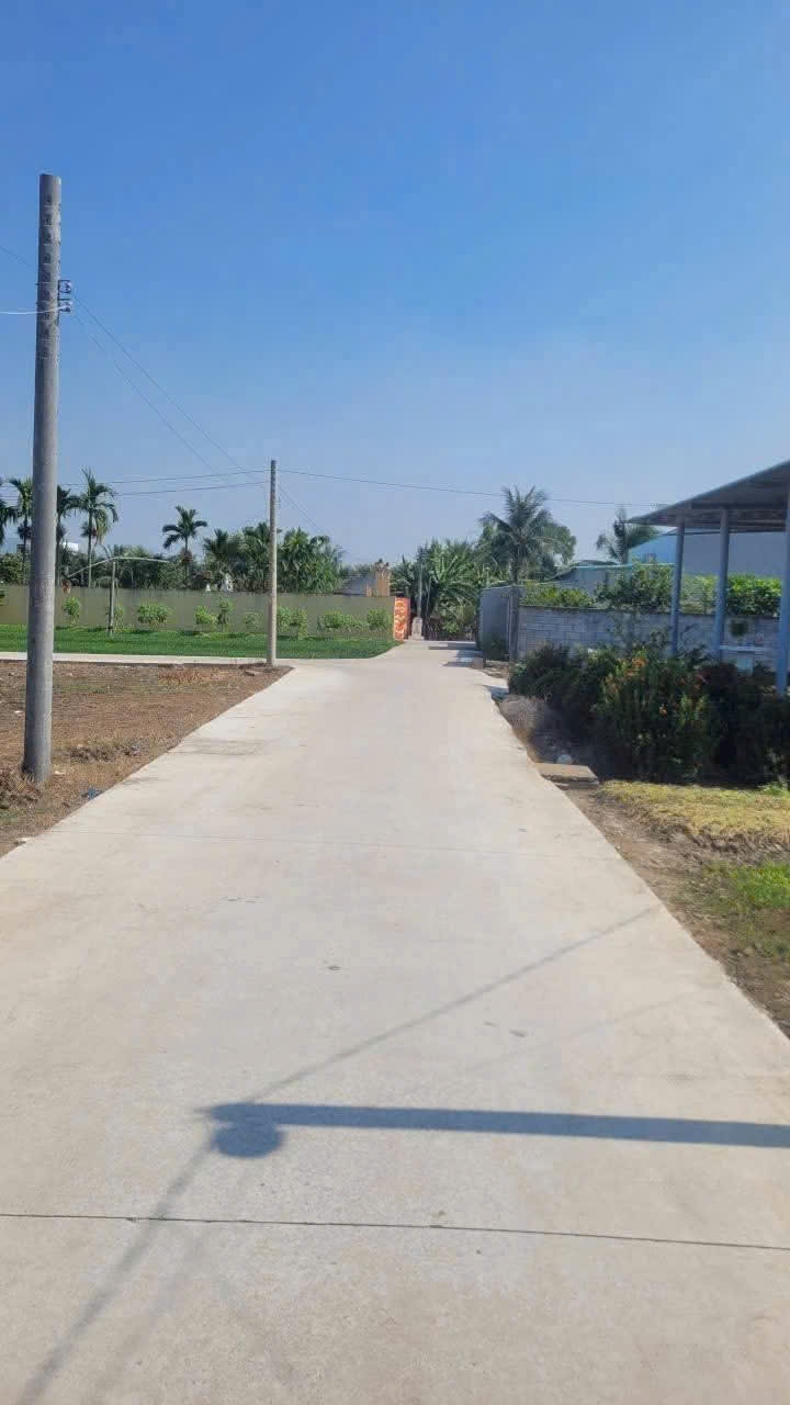 Đất nền Long Khê, Cần Đước 1000m² - Tiềm năng tăng giá vượt trội!