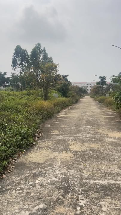 Đất nền KĐT Hoài Nam Phúc Yên 92m² - Sổ đỏ chính chủ, gần trường học!