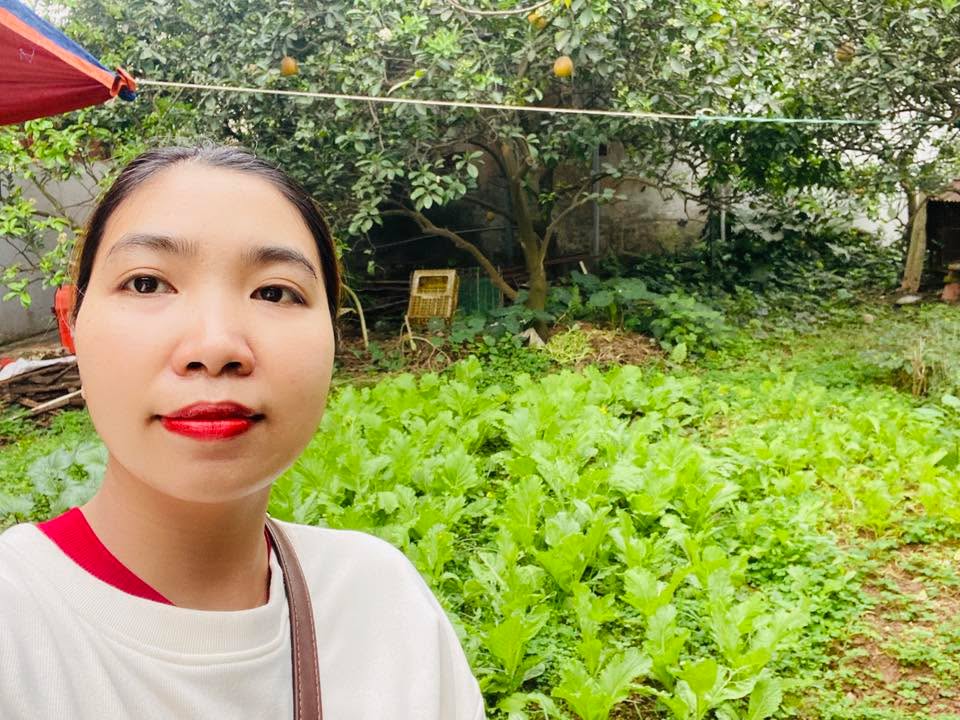 Đất Vườn Đông Anh 211m² - Tặng Vườn Rau Xanh Mát - Chỉ 8 Tỷ