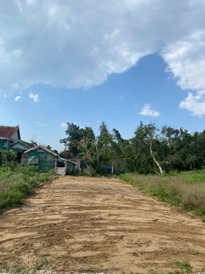 Đất nền Nghi Trường 100m² dưới 800 triệu - Giá tốt hiếm có!