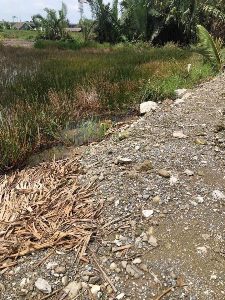 Đất nền Trường Thạnh, Thủ Đức 2000m² - Pháp lý rõ ràng