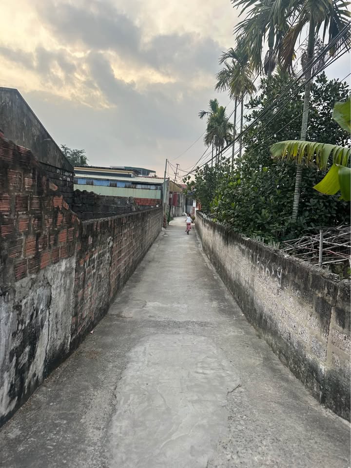 Đất Nền Thiên Hương 40m² giá 950 triệu - Ngõ Ô Tô, Thanh Khoản Nhanh!